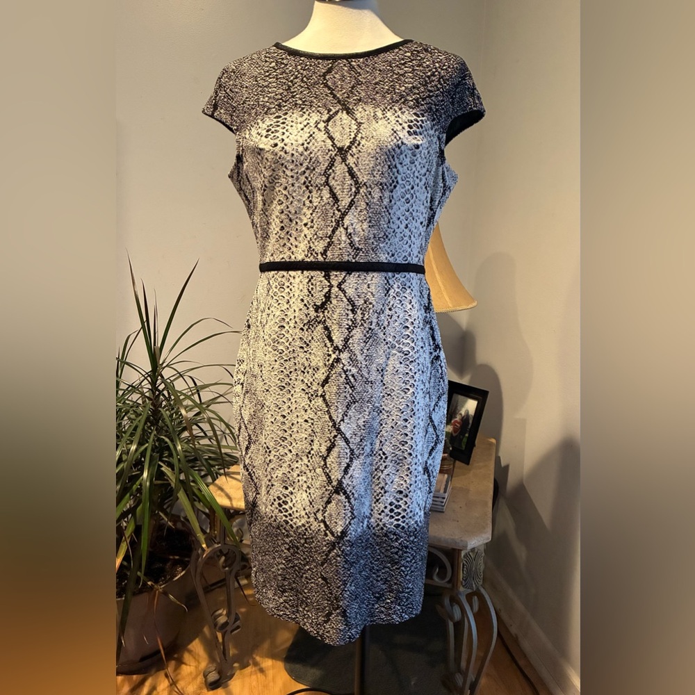 Julia Jordan Sheath Dress Snake Print Size 10 Cap Sleeve Back Zip Classic Modern